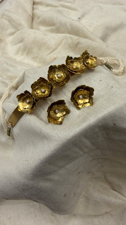 Pushpguchh Brass full set